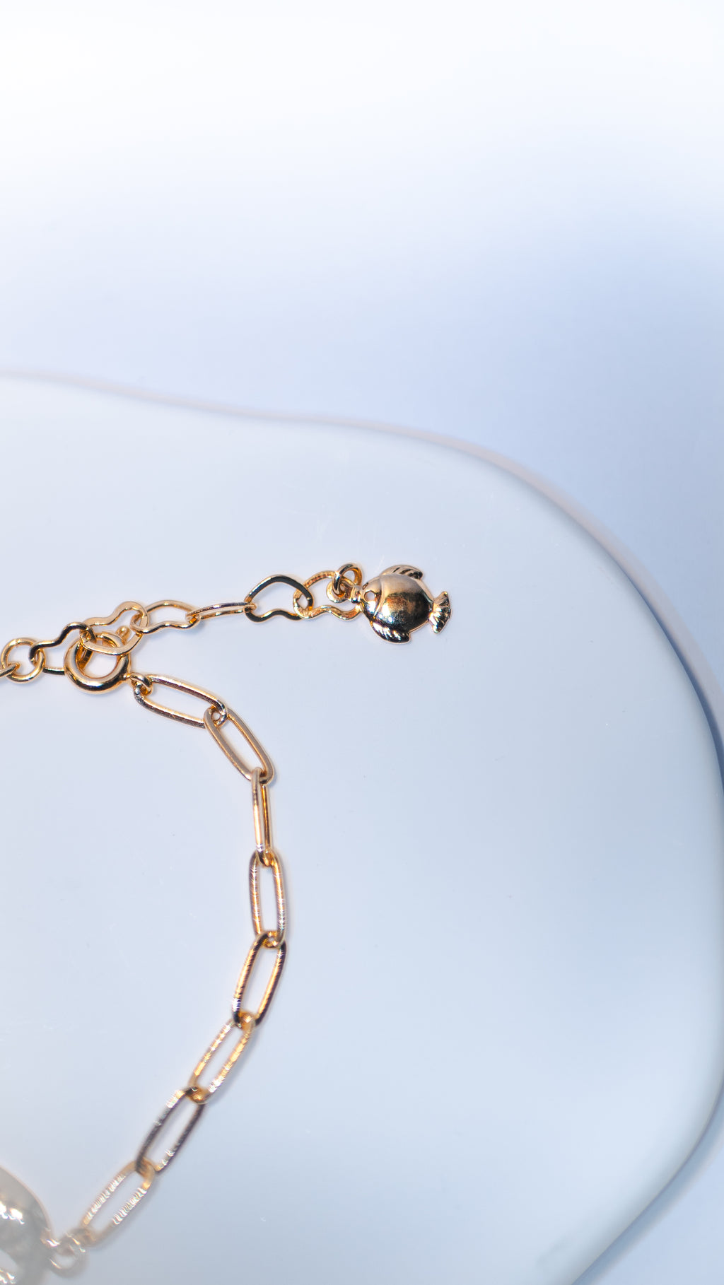 Golden Tide Cowrie Bracelet