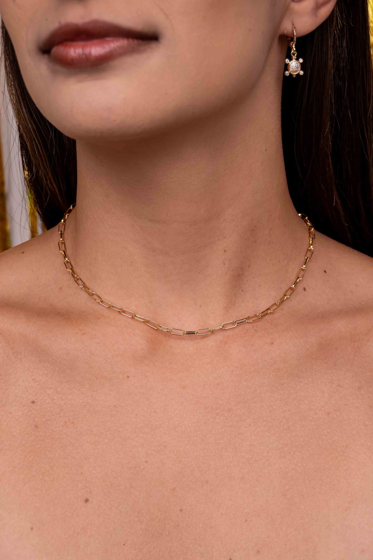 Zircon Turtle Hoops