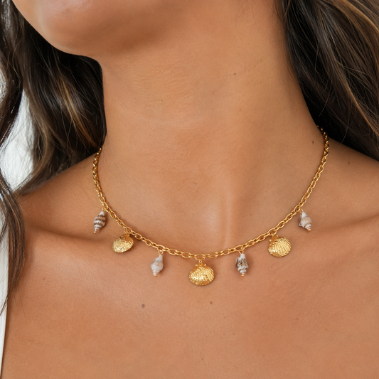 Shoreline Shell Choker